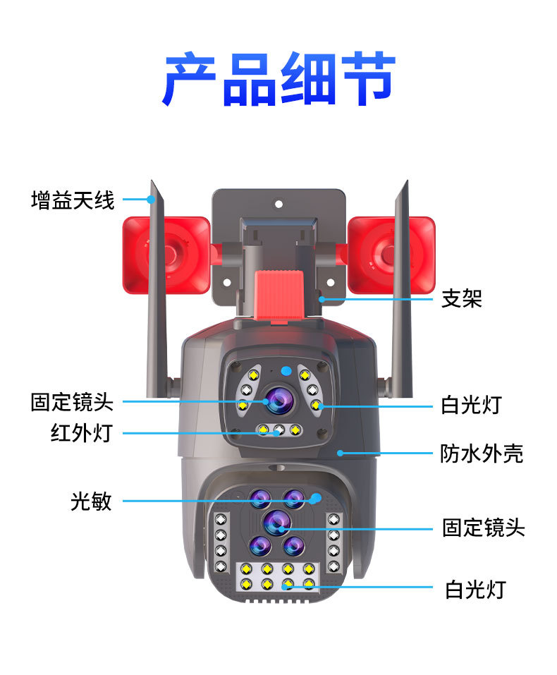 王中特王